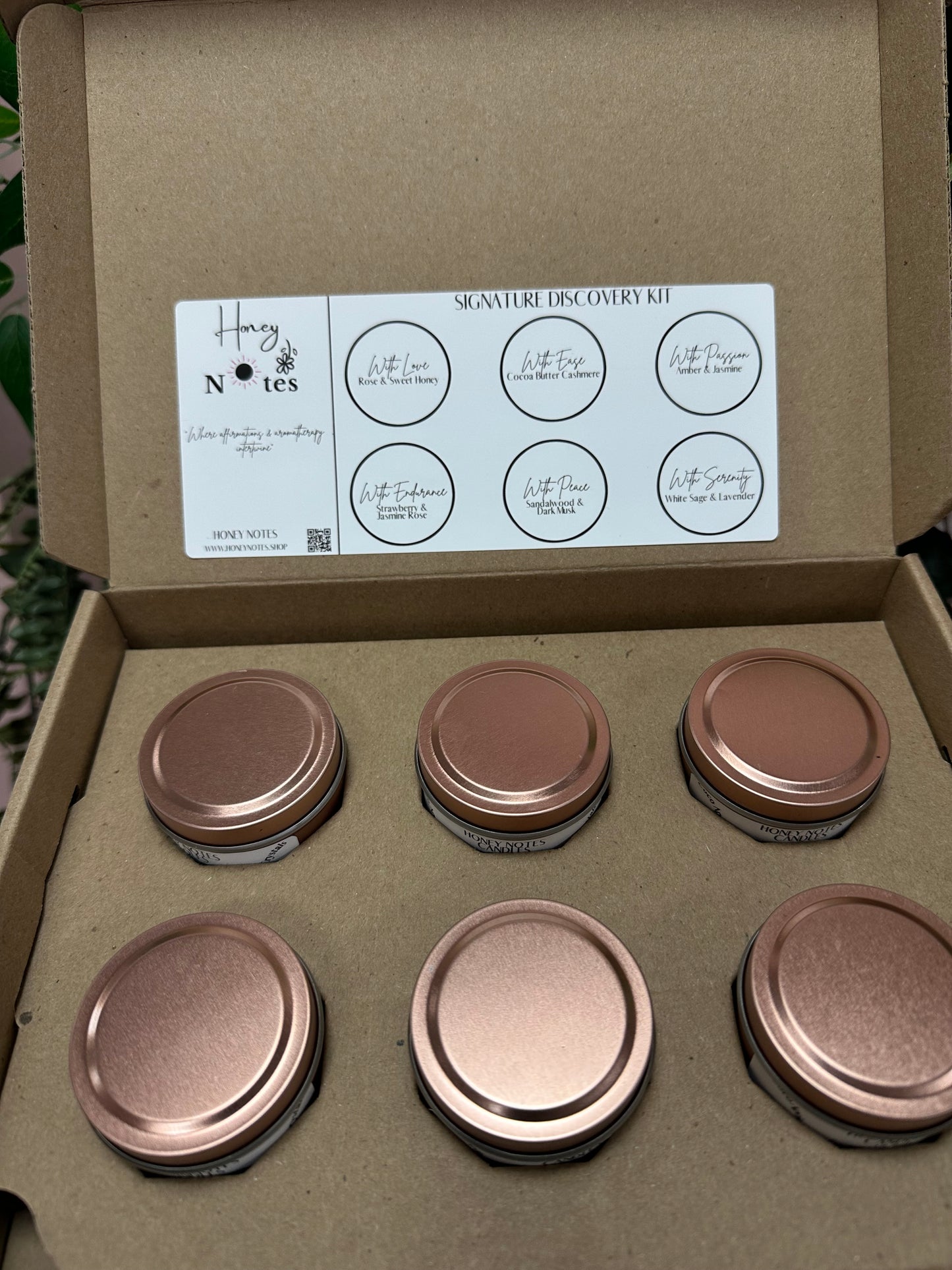 Candle Discovery Kit